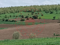 Çorum Mecitözü Bekişler Köyü Milli Emlak'tan Satılık 3.488,91 m2 Tarla
