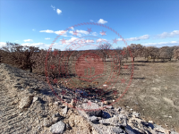 Uşak Sivaslı Pınarbaşı - Pınar Mahallesi Milli Emlak'tan Satılık 12.219,81 m2 Arsa