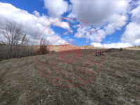 Amasya Merkez Saraycık Köyü Milli Emlak'tan Satılık 20.468,22 m2 Tarla