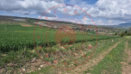 Çorum Merkez Güzelyurt Köyü Milli Emlak'tan Satılık 444,08 m2 Tarla
