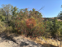 Burdur Merkez Kayaaltı (Gıravgaz) Köyü Milli Emlak'tan Satılık 555,98 m2 Tarla