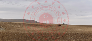 Konya Meram Boyalı Mahallesi Milli Emlak'tan Satılık 447,70 m2 Arsa