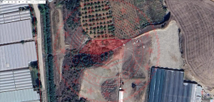 Amasya Merkez Aksalur Köyü Milli Emlak'tan Satılık 1.767,77 m2 Tarla