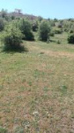 Ankara Kızılcahamam Kuşcuören Köyü Milli Emlak'tan Satılık 400,00 m2 Tarla