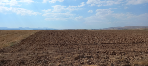 Konya Meram Hatunsaray Köyü Milli Emlak'tan Satılık 8.587,33 m2 Arsa