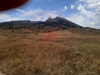 Sivas Merkez Asarcık Köyü Milli Emlak'tan Satılık 8.869,99 m2 Tarla