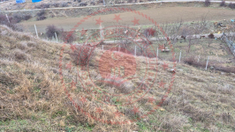 Çorum Merkez Tolamehmet Köyü Milli Emlak'tan Satılık 270,74 m2 Tarla