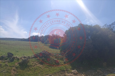 Manisa Kula Kalınharman Mahallesi Milli Emlak'tan Satılık 15.559,21 m2 Tarla