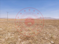 Konya Yunak Cebrail Köyü Milli Emlak'tan Satılık 1.203,00 m2 Tarla