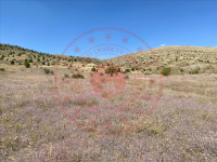 Sivas İmranlı Celaldamı Köyü Milli Emlak'tan Satılık 6.527,86 m2 Tarla