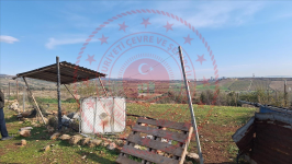 Mersin Toroslar Buluklu Köyü Milli Emlak'tan Satılık 752,36 m2 Tarla
