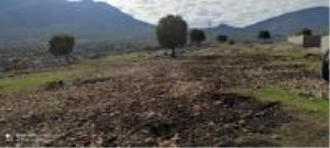 Kahramanmaraş Pazarcık Çöçelli Mahallesi Milli Emlak'tan Satılık 1.305,16 m2 Arsa