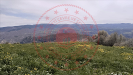 Çorum Merkez Üçköy Köyü Milli Emlak'tan Satılık 1.784,91 m2 Tarla