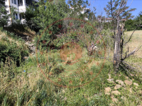 Bingöl Merkez İNALI MAHALLESİ Milli Emlak'tan Satılık 548,89 m2 Tarla