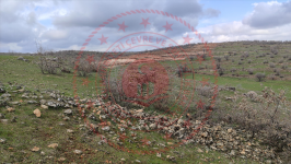 Mardin Midyat Ziyaret Köyü Milli Emlak'tan Satılık 3.721,26 m2 Tarla