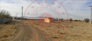 Konya Sarayönü Konar Köyü Milli Emlak'tan Satılık 500,00 m2 Tarla