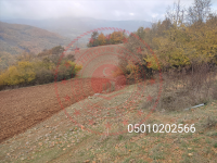 Amasya Merkez Direkli Köyü Milli Emlak'tan Satılık 4.287,30 m2 Tarla