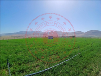 Konya Karapınar Salur Köyü Milli Emlak'tan Satılık 1.850,28 m2 Tarla