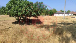 Düzce Merkez İstiklal Mahallesi Milli Emlak'tan Satılık 840,93 m2 Arsa