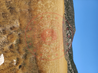 Eskişehir Alpu Büğdüz Mahallesi Milli Emlak'tan Satılık 1.033,89 m2 Tarla