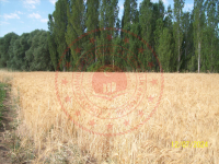 Konya Seydişehir Gevrekli Kasabası Milli Emlak'tan Satılık 755,21 m2 Tarla