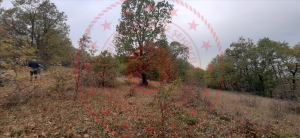 Bursa Mustafakemalpaşa Alpagut Mahallesi Milli Emlak'tan Satılık 5.875,00 m2 Tarla