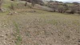 Tokat Merkez Binecek Köyü Milli Emlak'tan Satılık 728,85 m2 Tarla