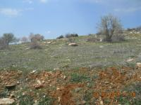 Denizli Çal Bahadınlar Köyü Milli Emlak'tan Satılık 2.309,23 m2 Tarla