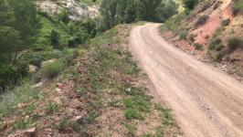 Çankırı Korgun Maruf Köyü Milli Emlak'tan Satılık 1.502,84 m2 Tarla