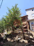 Bitlis Merkez Yolcular (Vervan) Köyü Milli Emlak'tan Satılık 252,41 m2 Tarla
