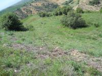 Amasya Suluova Kolay Köyü Milli Emlak'tan Satılık 17.170,01 m2 Tarla