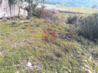 Muğla Ula Şirinköy Köyü Milli Emlak'tan Satılık 238,84 m2 Tarla