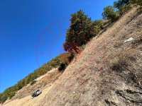 Samsun Vezirköprü Öğürlü Köyü Milli Emlak'tan Satılık 1.559,84 m2 Tarla