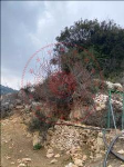 Mersin Erdemli Karahıdırlı Köyü Milli Emlak'tan Satılık 741,67 m2 Tarla
