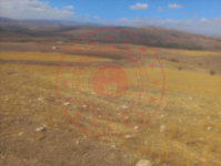 Kırıkkale Sulakyurt Koruköy Köyü Milli Emlak'tan Satılık 1.321,00 m2 Tarla