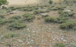 Kahramanmaraş Afşin Türkçayırı Mahallesi Milli Emlak'tan Satılık 4.567,69 m2 Tarla