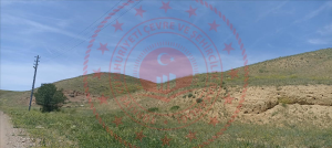 Kırıkkale Delice Şahçalı Köyü Milli Emlak'tan Satılık 160,00 m2 Tarla