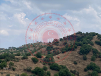 Aydın Germencik Çarıklar Köyü Milli Emlak'tan Satılık 26.440,85 m2 Tarla