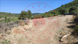 Manisa Soma Göktaş Mahallesi Milli Emlak'tan Satılık 2.950,00 m2 Tarla