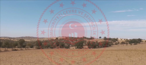 Uşak Eşme Saraycık Köyü Milli Emlak'tan Satılık 3.228,14 m2 Tarla