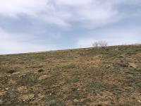 Kırşehir Merkez T. İlyas - Yayla Köyü Milli Emlak'tan Satılık 749,98 m2 Arsa