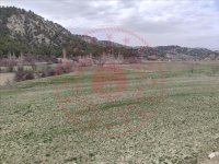 Burdur Merkez Kozluca Köyü Milli Emlak'tan Satılık 2.707,41 m2 Tarla