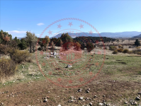 Konya Beyşehir Akçabelen Kasabası Milli Emlak'tan Satılık 5.257,15 m2 Tarla