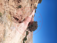 Mardin Artuklu Yalım Köyü Milli Emlak'tan Satılık 8.670,09 m2 Tarla