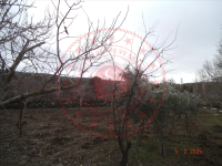 Denizli Tavas Baharlar Mahallesi Milli Emlak'tan Satılık 503,41 m2 Tarla