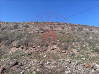 Erzurum Tortum Yellitepe Köyü Milli Emlak'tan Satılık 907,72 m2 Tarla