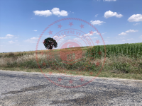 Edirne Uzunköprü Turnacı Köyü Milli Emlak'tan Satılık 1.191,48 m2 Tarla