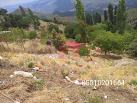 Amasya Merkez Ardıçlar Köyü Milli Emlak'tan Satılık 109,61 m2 Tarla