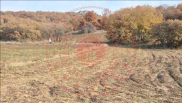 Çorum Merkez Büyükgülücek Köyü Milli Emlak'tan Satılık 9.087,58 m2 Tarla