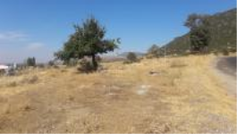 Uşak Eşme Armutlu Köyü Milli Emlak'tan Satılık 4.391,00 m2 Tarla
